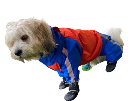 Orange And Royal Blue Full Coverage Raincoat Doxters Lab