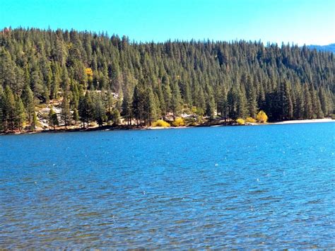 Lake Near The Pine Forest Free Image Download