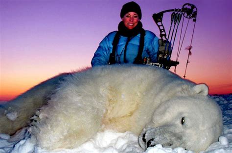 Polar Bear Montana Hunting And Fishing Information