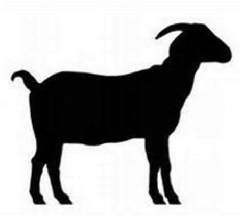 Download High Quality Goat Clipart Silhouette Transparent Png Images