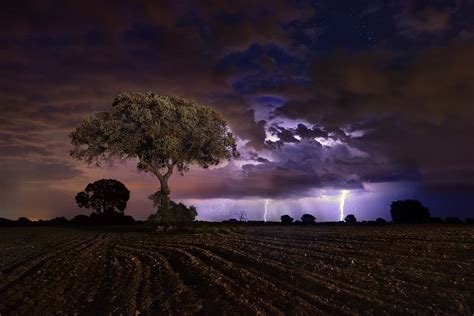 Dark Landscape Field Night Storm Sky Trees