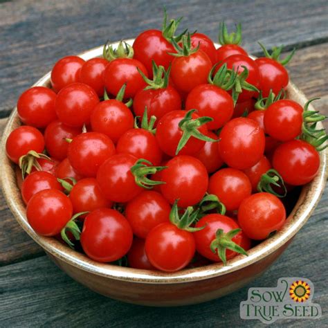 Cherry Tomato Cherry Sweetie Organic Sow True Seed