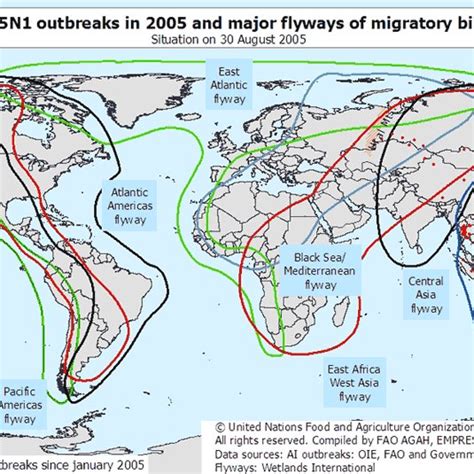 H5n1 Outbreaks In 2005 And Major Flyways Of Migratory Birds Fao 2006