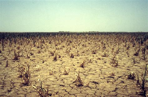 Drought In The Sahel Region Of Mali Between 1984 85 Credit Frans