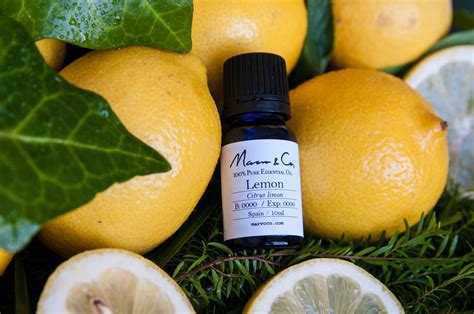 Why Lemon Essential Oil Has To Be Organic Marvo＆co