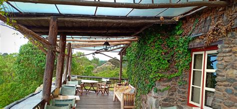 A weekend getaway at Mount Kenya’s Castle Forest Lodge - Kenyatalii