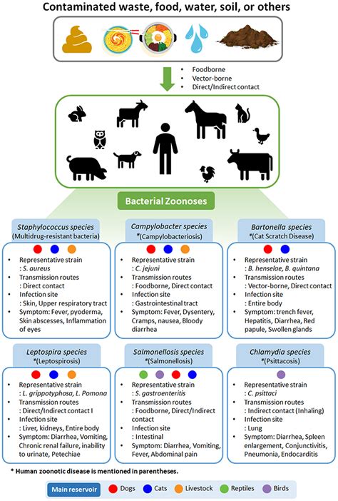 Frontiers Zoonotic Diseases And Phytochemical Medicines For Microbial