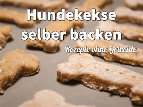 Hundekekse selber machen Tolle Rezepte ohne Getreide 2023
