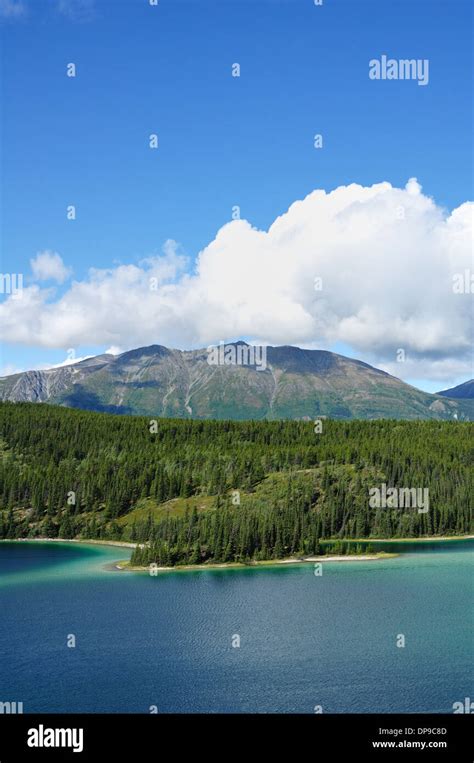 Emerald Lake Yukon Canada Stock Photo Alamy