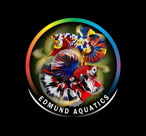 Edmund Aquatics - Your Trusted Shop for Betta Fish
