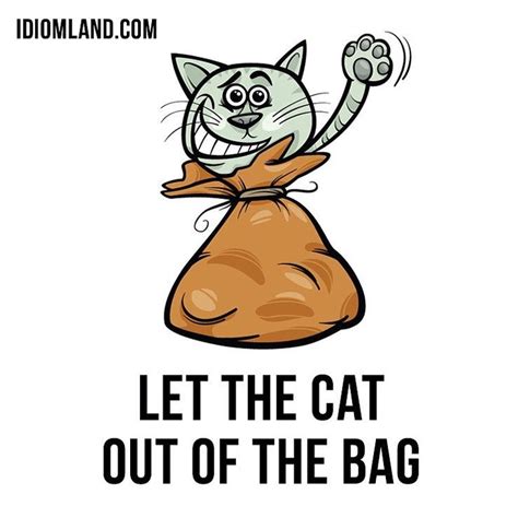 Hello Our Idiom Of The Day Is Let The Cat Out Of The Bag Which Means