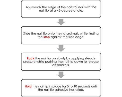 Milady Standard Cosmetology 2016 - 9781285769417 - Exercise 5 | Quizlet