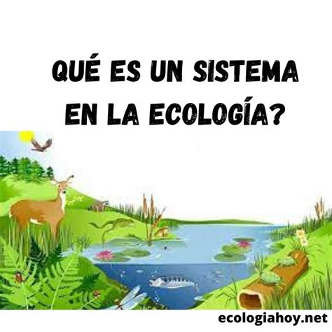Qué Es Un Sistema En La Ecología Ecología Hoy