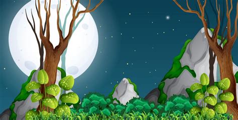 A Forest At Night 362390 Vector Art At Vecteezy