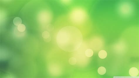 Free Download Green Background 2 Wallpaper 1920x1080 Green Background 2