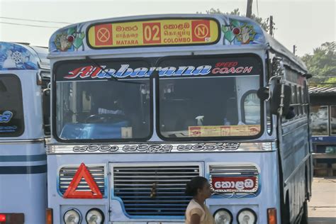 Ultimate Travel Guide To Mirissa Sri Lanka Something Of Freedom