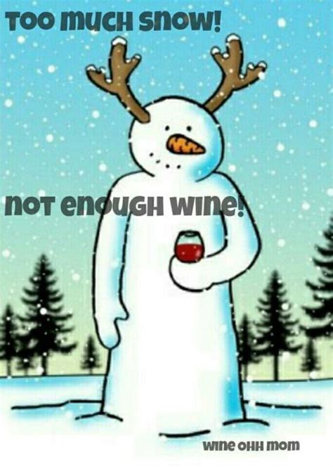 361 Best Wine Memes Images On Pinterest So Funny Wine