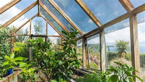 Build a greenhouse from it! The Great Indoors: 12 incredibly useful tips on getting the right glasshouse for you | Stuff.co.nz
