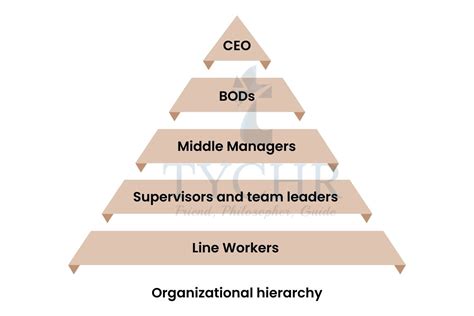 Ib Business Management Organizational Structure Notes Tychr