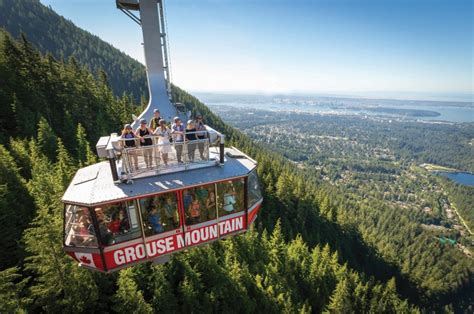 Grouse Mountain The Peak Of Vancouver Ctv News