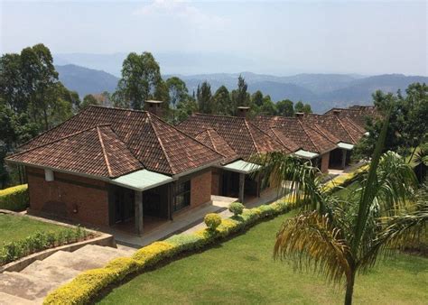 Nyungwe Accommodation Rwanda African Hartebeest