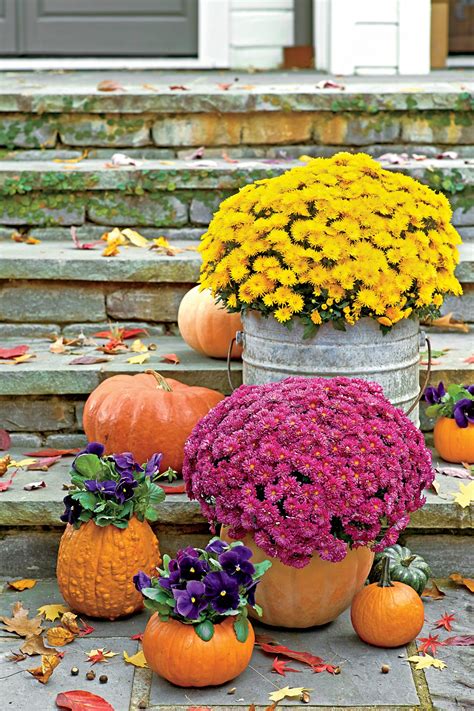 Incredible Ways To Decorate With Mums Southern Living