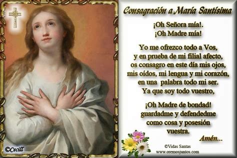 ® Virgen María Ruega Por Nosotros ® ConsagraciÓn A La Virgen MarÍa
