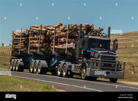 Logging Truck Carrying Load Of Harvested Trees To Timber Mill Stock