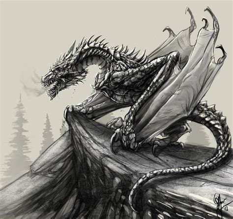 Pin By Smaugs Cave On Dragones Dragon Sketch Dragon Drawing