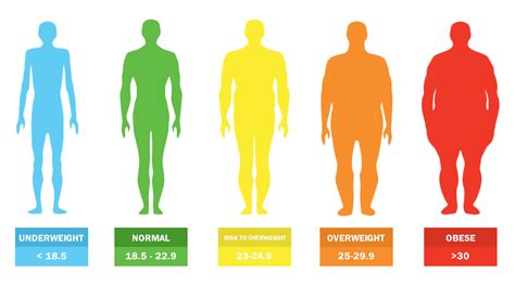 Body Mass Index Bmi Nutrition Division