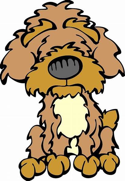 Clipart Poodle Dog Mutt Terrier Yorkshire Drawings