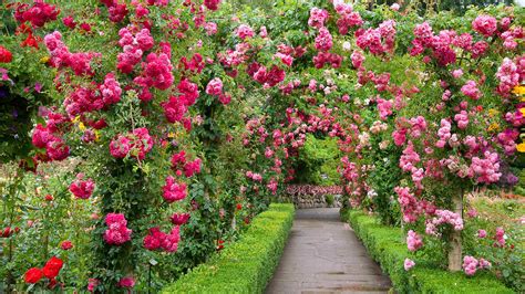 Most Beautiful Flower Garden 1920x1080 Download Hd Wallpaper