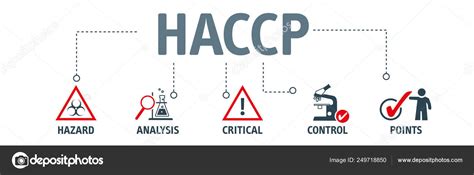 Concepto Haccp Banner An Lisis De Peligros Y Control Cr Tico Vector