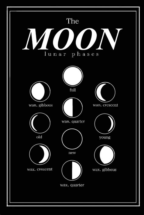 The Phases Of The Moon In Black And White On A Black Background With