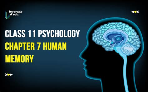Class 11 Psychology Chapter 7 Human Memory Leverage Edu