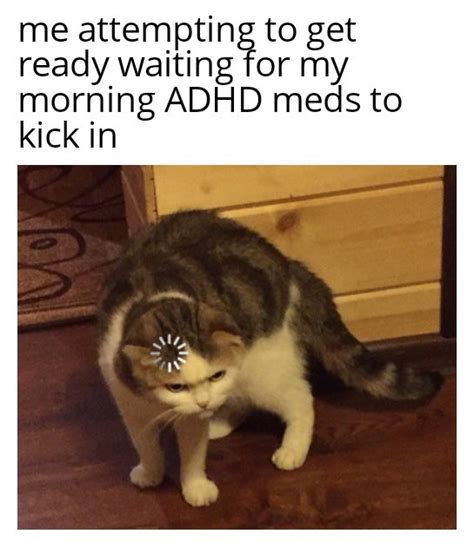 Easily add text to images or memes. adhd meme on Tumblr