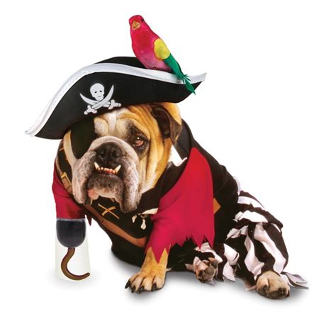 Pirate Dog Costume Bransons Next Costume The Eye Patch Will Be