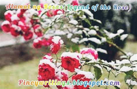Ang Alamat Ng Rosaslegend Of The Rose Pinoy Writings
