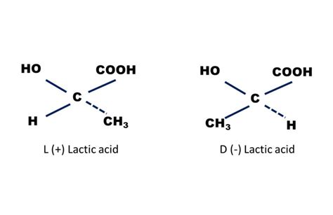 Brain Fogginess And D Lactic Acidosis Probiotics Are Not The Cause