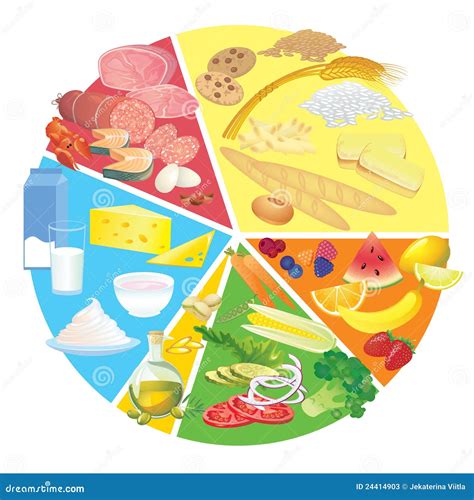 Healthy Nutrition Food Plate Rule Stock Vector Illustration Of Banana