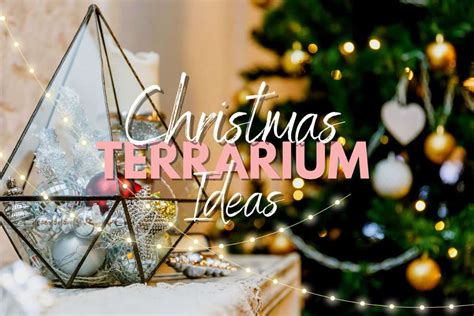 9 Fabulously Festive Christmas Terrarium Ideas Terrarium Tribe