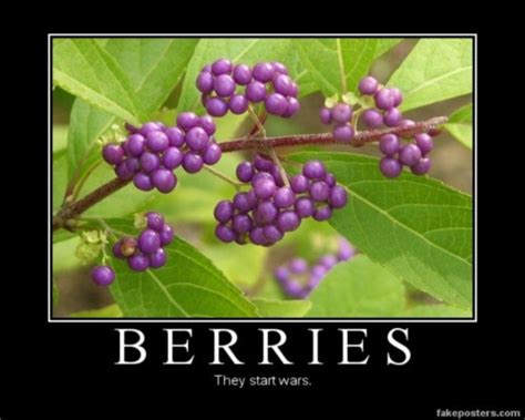 Berries, they start wars | Hunger games humor, Hunger games series