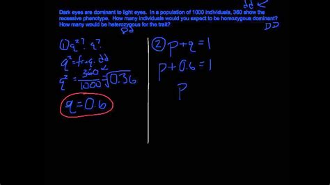 Hardy weinberg problem set answers. Hardy Weinberg Problem Solving - YouTube