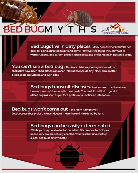 Bed Bugs Exterminator Springtown How To Prevent Them