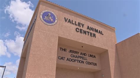 Animal clinic of casselberry prices. Low-cost clinic expansion: Valley Animal Center continues ...