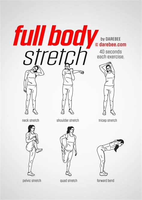 Full Body Stretch Stretches Before Workout Workout Warm Up Exercise