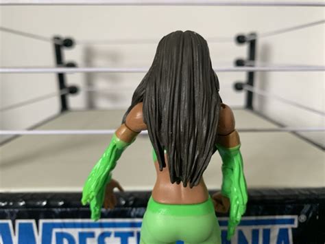 WWE Funkadactyls Naomi Cameron Wrestling Figures Divas Mattel Bundle