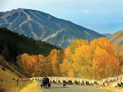Visit our website for more information about our products. The sweet autumn lull is when this Idaho resort shows its ...