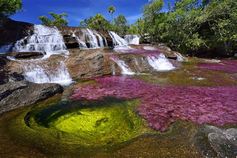 Caño Cristales The River Of Seven Colors Travelastronaut