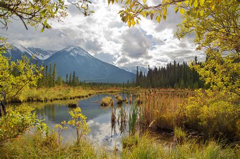 Fonds D Ecran Canada Automne Montagnes Lac Photographie De Paysage Vermilion Lakes Branche